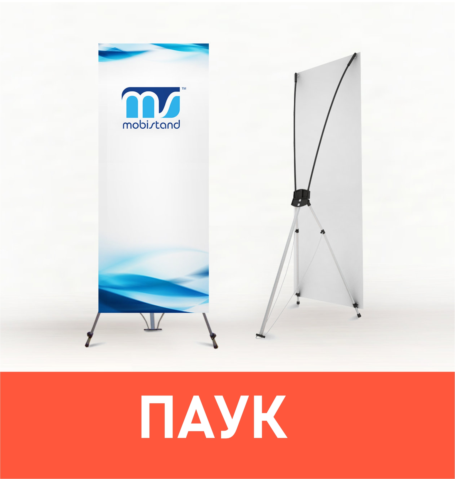 Паук